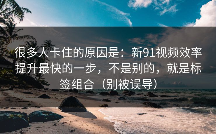 很多人卡住的原因是：新91视频效率提升最快的一步，不是别的，就是标签组合（别被误导）