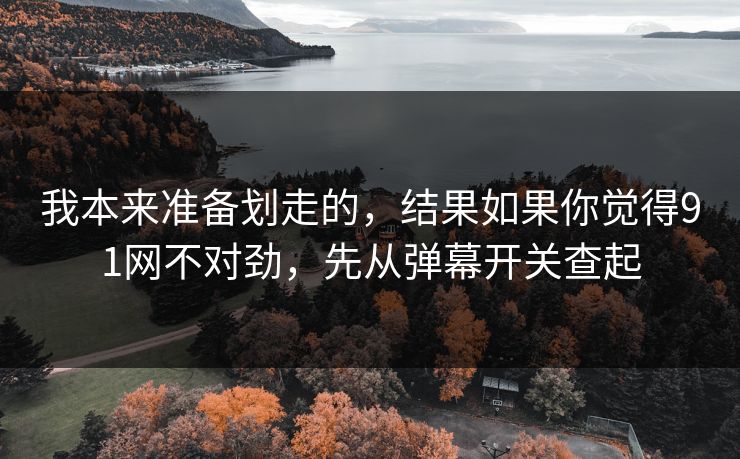 我本来准备划走的，结果如果你觉得91网不对劲，先从弹幕开关查起